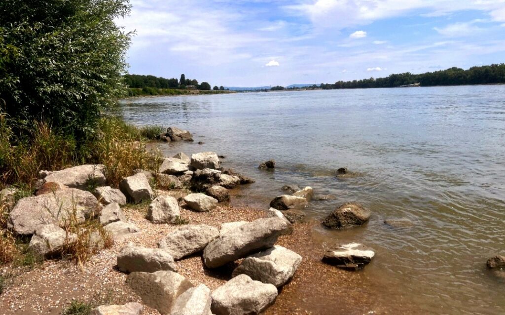 Invisible Threat: A Plastic Stream Beneath the Danube